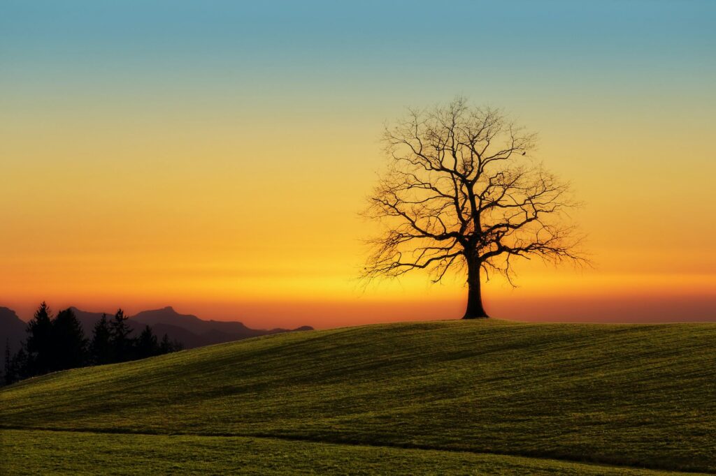 Photo by Johannes Plenio on Pexels.com